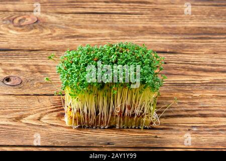 Fresh microgreens. Sprouts of watercress on wooden background. Stock Photo