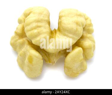 half kernel of walnut on white background. Walnut without shell isolated on white background. Stock Photo