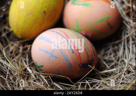 Easter colorful eggs in basket Stock Photo