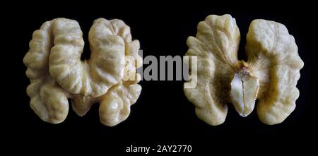 Collage of halves of walnut kernel on black background. One-click selection concept. Stock Photo