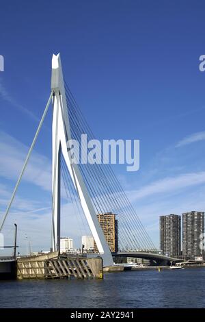 Erasmusbridge over the Nieuwe Maas in Rotterdam, N Stock Photo
