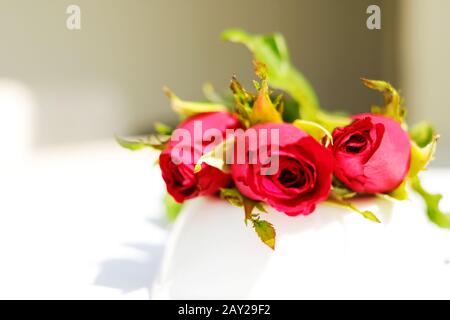 Three red roses on white background Stock Photo