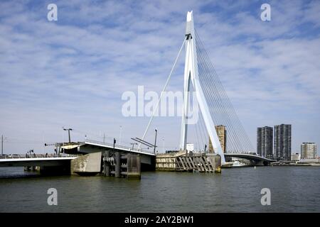 Erasmusbridge over the Nieuwe Maas in Rotterdam, N Stock Photo