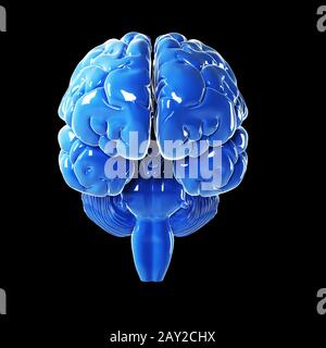 3d rendered illustration - glossy blue brain Stock Photo