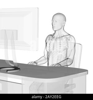 3d rendered medical illustration - correct sitting posture Stock Photo