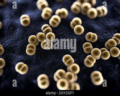 3d rendered scientific illustration of some bacteria Stock Photo