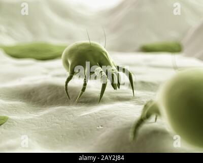 3d rendered illustration - dust mite Stock Photo