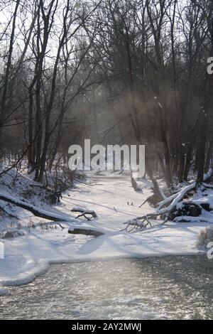 Winter forest and river Stock Photo - Alamy