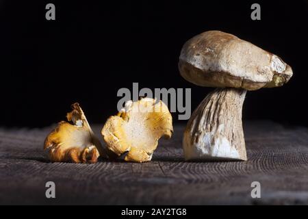 Mushrooms on wood Stock Photo