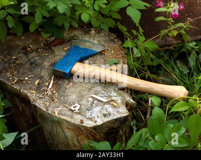 The old axe and chopping block for chopping wood with axe. The cutting of trees in wood with sharp ax, close up axe, wood chips fly. Bushes, grass, su Stock Photo
