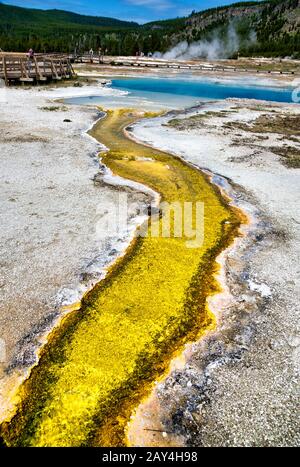 Creek and pool in Biscuit Basin, Yellowstone National Park, Wyoming. Stock Photo