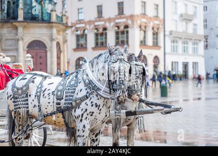 Horse and Cart carriage in Krakow, Poland Stock Photo