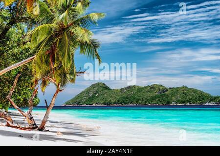 Luxury vacation scene on tropical island. Paradise beach with white sand and palm trees. Long distance travel tourism getaway concept Stock Photo