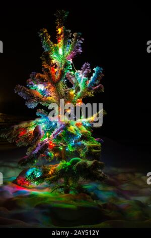 Shining lights of a natural Christmas tree covered snow. Stock Photo