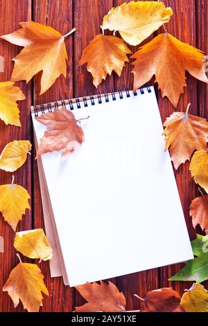 autumn background Stock Photo