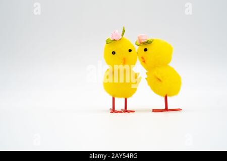 Two yellow easter chick pom pom toys with rose hats whispering on a white background. Stock Photo