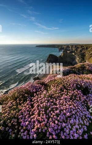 Bedruthan Steps; Cornwall; UK Stock Photo