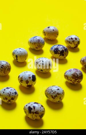 Quail eggs arranged in a row, yellow background. Vertical orientation, top view food Stock Photo