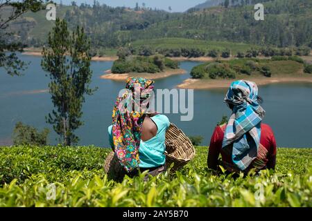 Two tea plucker ladies starring at a lake during the break. Stock Photo