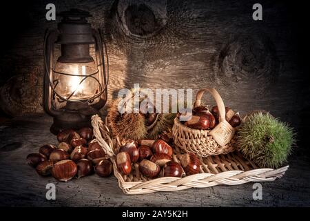 chestnut harvest in autumn - close up Stock Photo