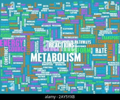 Metabolism Stock Photo