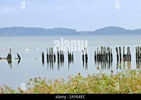 Remains of Wooden groynes in the harbor of Polchow Rügen Baltic Sea Germany Stock Photo