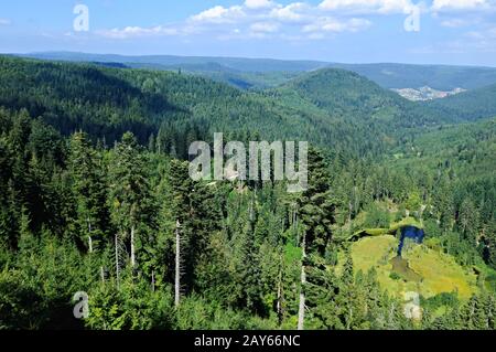 Lake View Ellbachsee and Hornisgrinde in the Black Forest of Germany Stock Photo