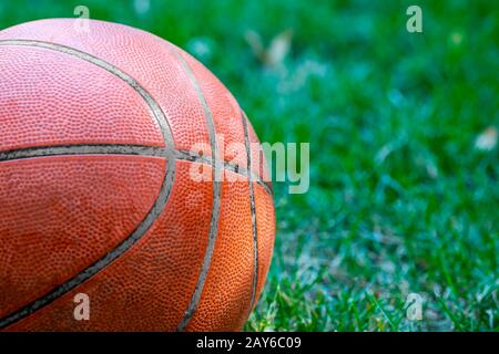 Basketball ball in garden over grass close up picture Stock Photo