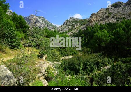 landscape, canyon, gorge, ravine, paklenica, national park, croatia, europe, Stock Photo
