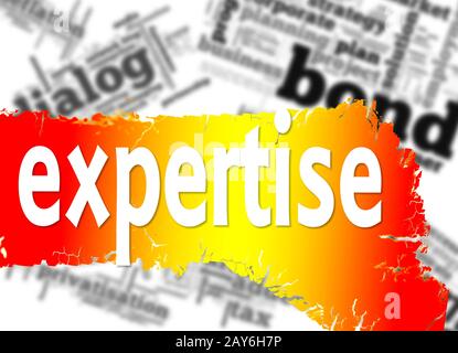 Word cloud with expertise word Stock Photo