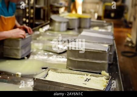 Finished milk product at production line Stock Photo