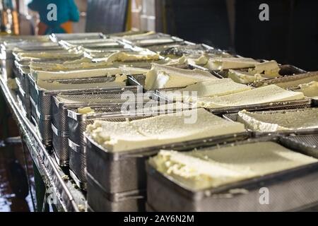 Finished dairy product at production line Stock Photo