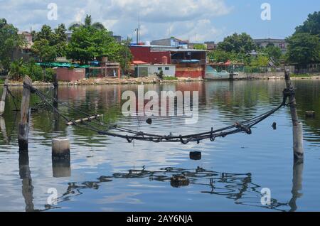 Cienfuegos Bay (Cuba), a rich estuarine ecosystem suffering from ever-worsening water pollution Stock Photo