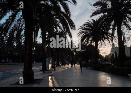 Paseo del Parque, Málaga, Spain. Stock Photo