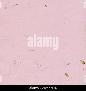 Pink paper background with dried plants Stock Photo