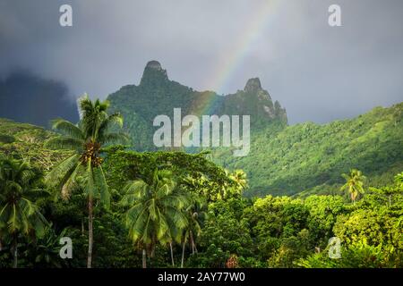 Rainbow on Moorea island jungle and mountains landscape Stock Photo