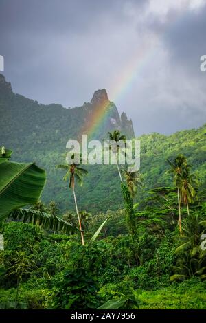 Rainbow on Moorea island jungle and mountains landscape Stock Photo