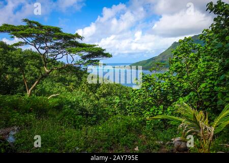 Aerial view of Opunohu Bay and lagoon in Moorea Island Stock Photo