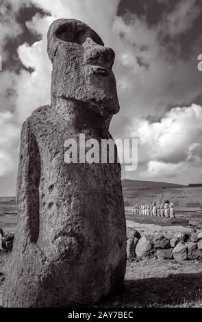 Moai statue, ahu Tongariki, easter island. Black and white picture Stock Photo