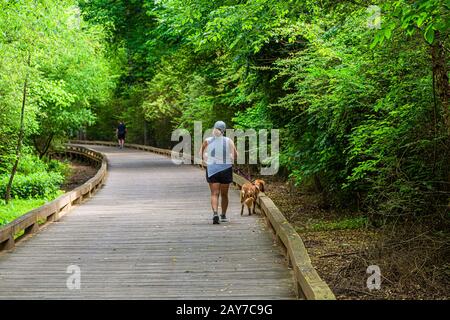 Woman Walking dog on Trail Stock Photo