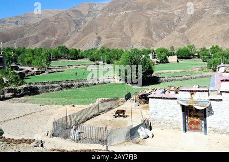 Living in Tibet in the valley of Yarlung Zangbo River valley in Tibet China Stock Photo