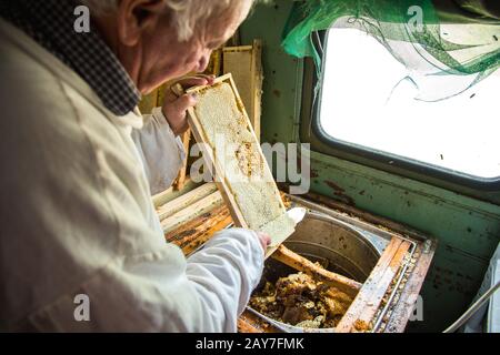 The beekeeper separates the wax from the honeycomb frame. Stock Photo
