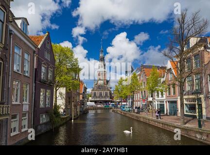Alkmaar, Netherlands - April 28, 2017: Swan swimming at the channel Stock Photo