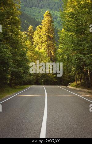 highway in the mountains passes through the forest Stock Photo