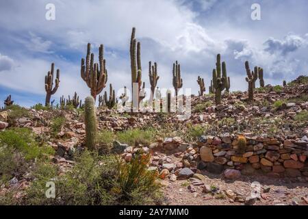 Pukara de Tilcara, Argentina Stock Photo