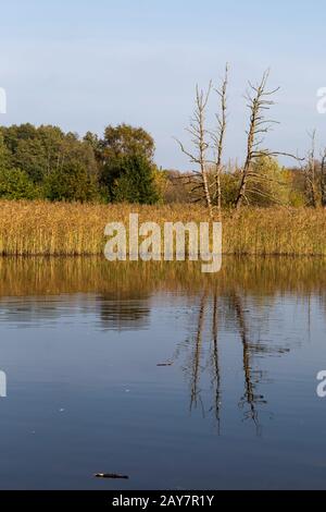 Wandern am Tegler Fließ nahe Berlin im Herbst bei Sonnenschein Stock Photo