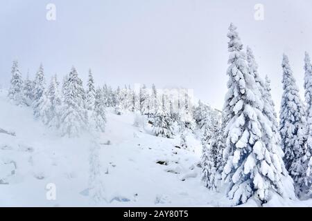 winter landscape - mountain pass with snowy trees and rocks visible from under the snow, against a cloudy sky Stock Photo