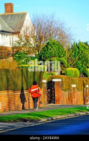 Postman delivering letters on a road containing large detached houses Stock Photo