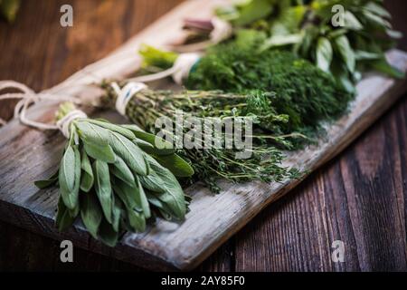 Basil,sage,dill,and thyme herbs Stock Photo