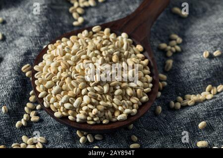 Raw Organic Italian Pearl Barley in a Bowl Stock Photo